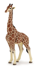 Load image into Gallery viewer, Papo France Male Giraffe