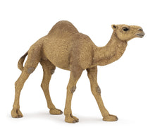 Load image into Gallery viewer, Papo France Dromedary