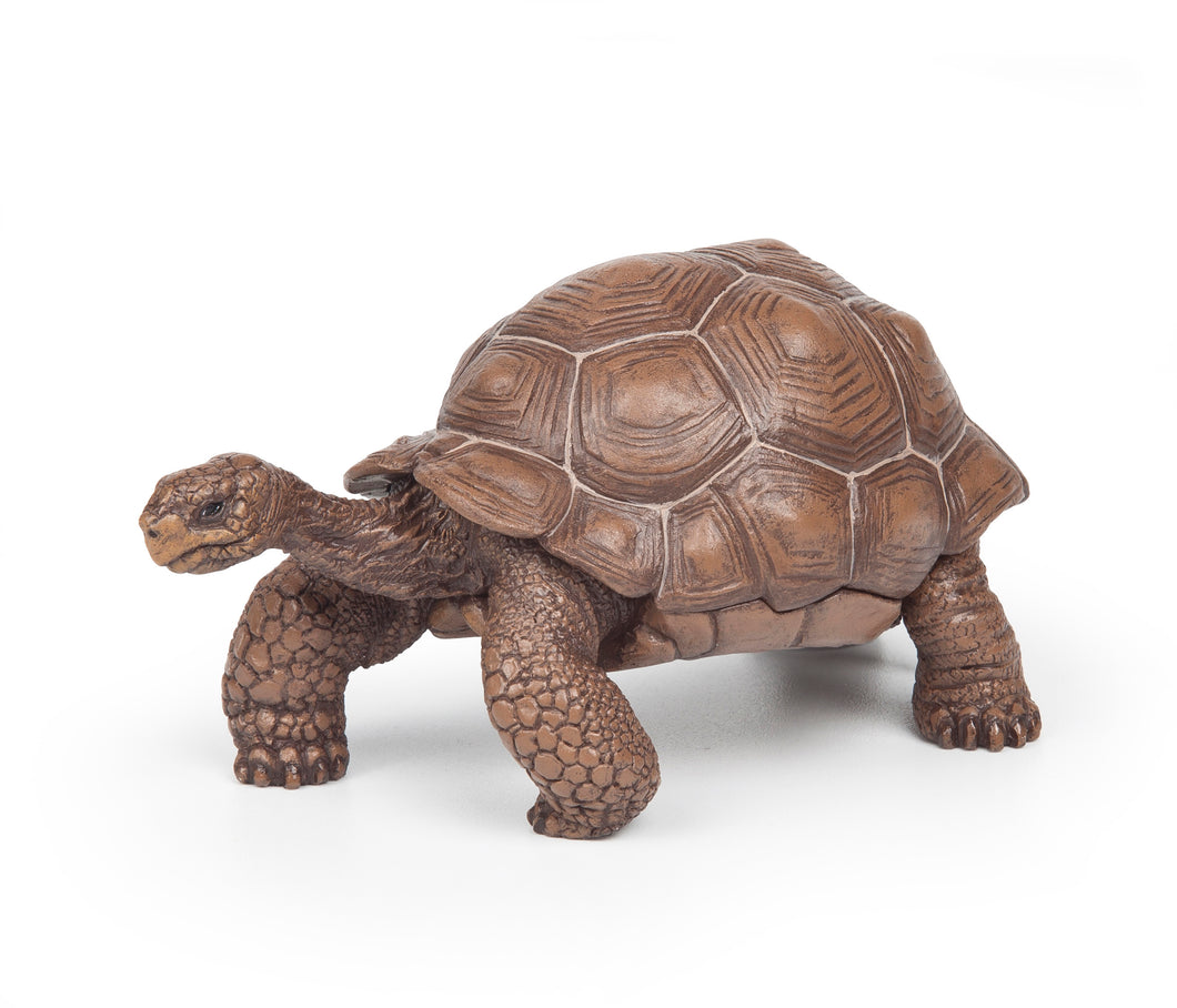 Papo France Galapagos Tortoise