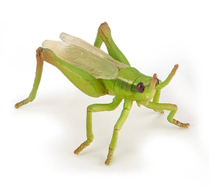 Papo France Grasshopper