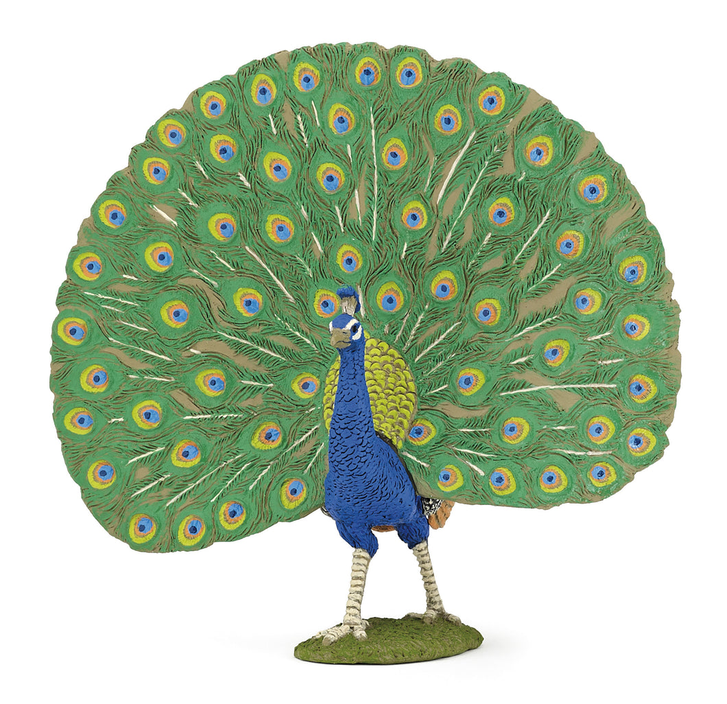 Papo France Peacock