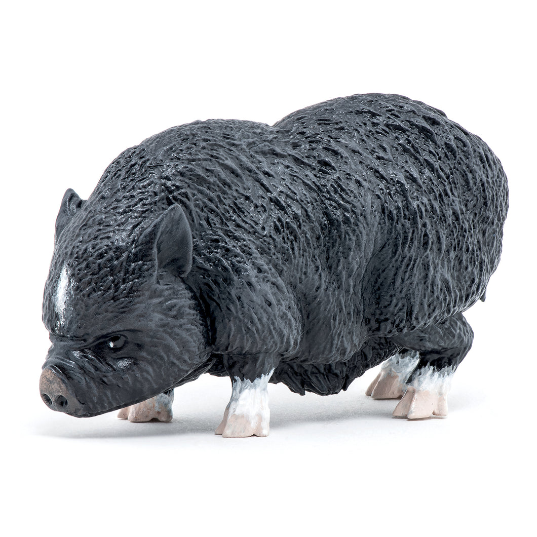 Toy pot belly pig outlet