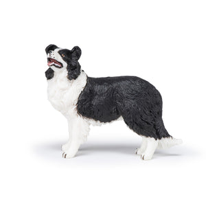 Papo France Border Collie