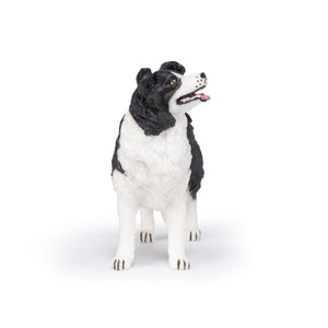 Papo France Border Collie