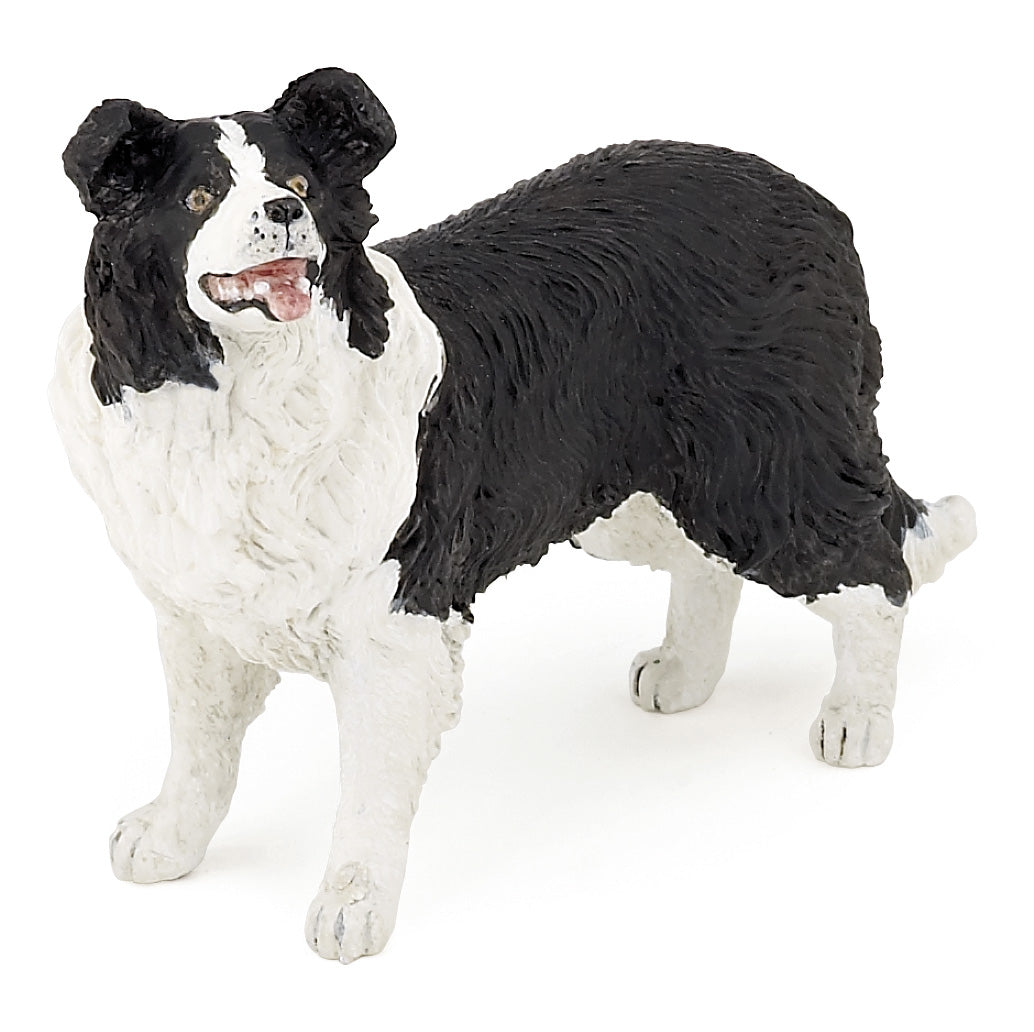 Papo France Border Collie