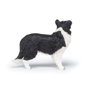 Papo France Border Collie
