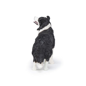 Papo France Border Collie