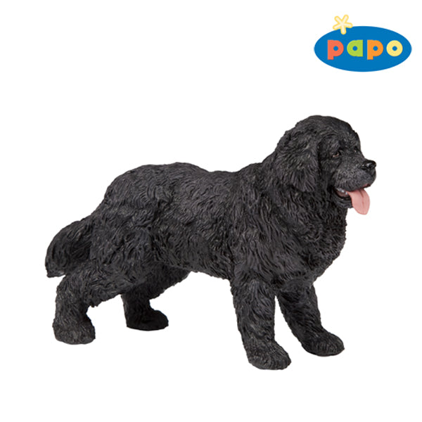 Papo France Newfoundland