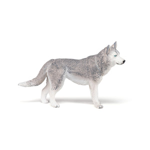 Papo France Siberian Husky