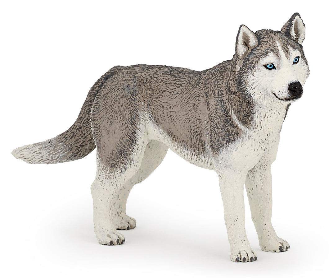 Papo France Siberian Husky