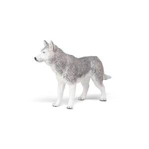 Papo France Siberian Husky