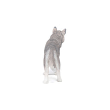 Load image into Gallery viewer, Papo France Siberian Husky