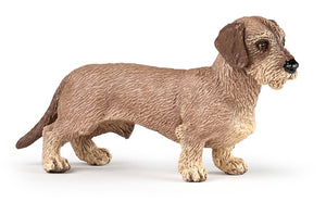 Papo France Dachshund