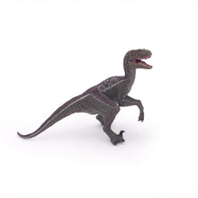 Load image into Gallery viewer, Papo France Velociraptor