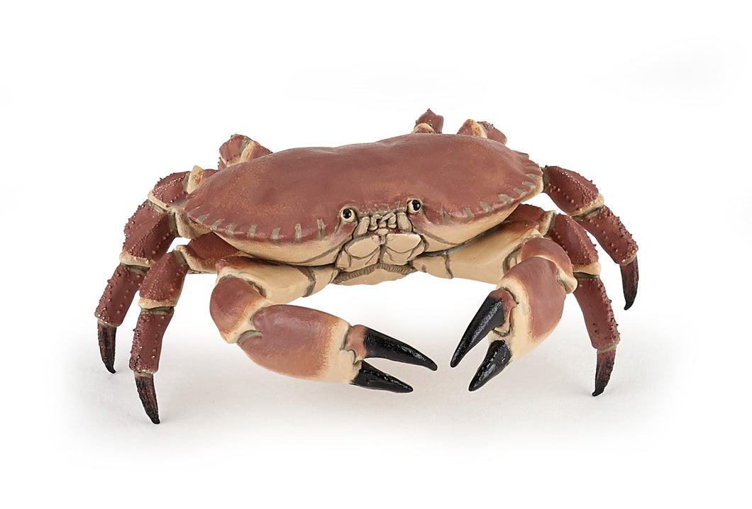 Papo France Crab