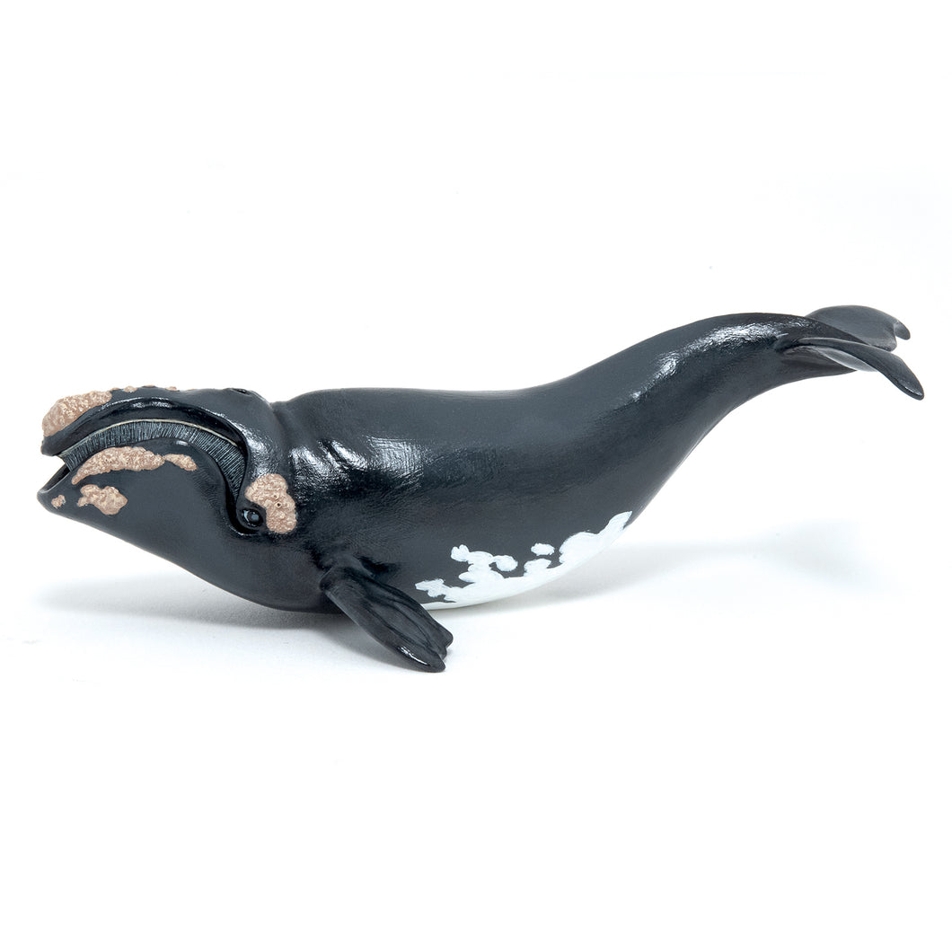 Papo France Right Whale