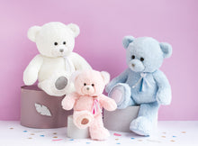 Load image into Gallery viewer, Histoire D&#39;ours Teddy Bear Charms Pink