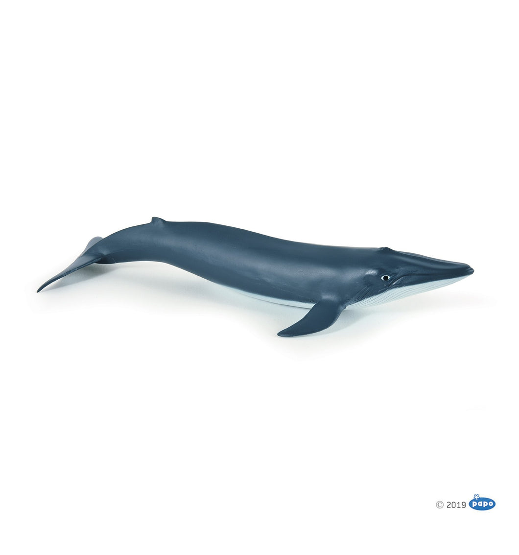 Papo France  Blue Whale Calf